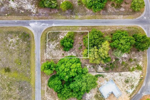 Land in Ocklawaha, Florida № 2161711