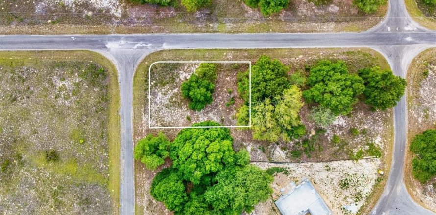 Land in Ocklawaha, Florida № 2161711