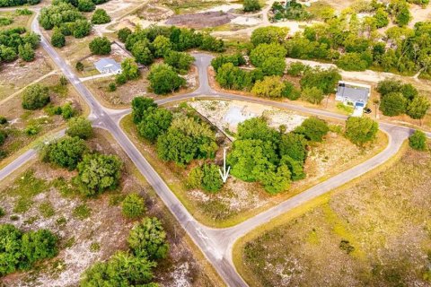 Land in Ocklawaha, Florida № 2161711 - photo 6