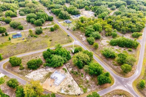 Land in Ocklawaha, Florida № 2161711 - photo 5
