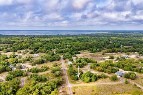 Land in Ocklawaha, Florida № 2161711 - photo 8