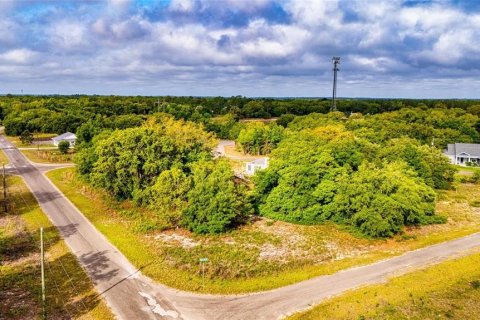 Land in Ocklawaha, Florida № 2161711 - photo 3
