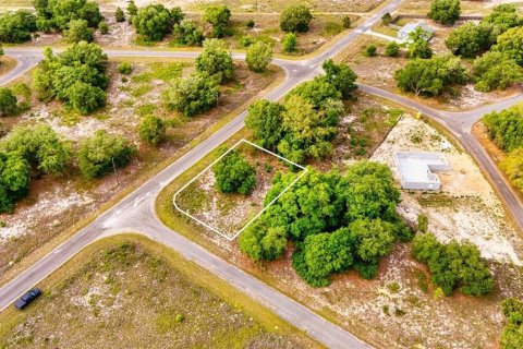 Land in Ocklawaha, Florida № 2161711 - photo 7