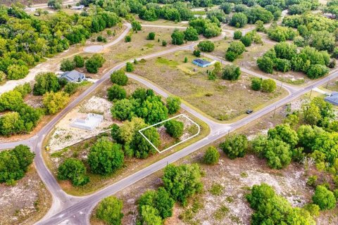 Land in Ocklawaha, Florida № 2161711 - photo 4