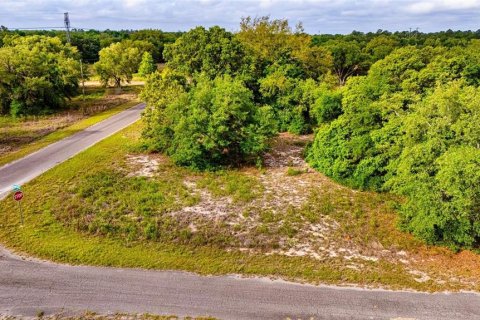 Land in Ocklawaha, Florida № 2161711 - photo 2