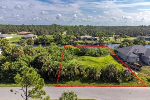 Land in Port Charlotte, Florida № 2198000