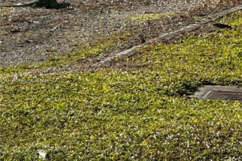 Villa ou maison à louer à Dania Beach, Floride: 3 chambres, 170.29 m2 № 2004657 - photo 9