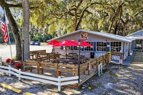Immobilier commercial à vendre à Lake Panasoffkee, Floride: 331.48 m2 № 2167825 - photo 2