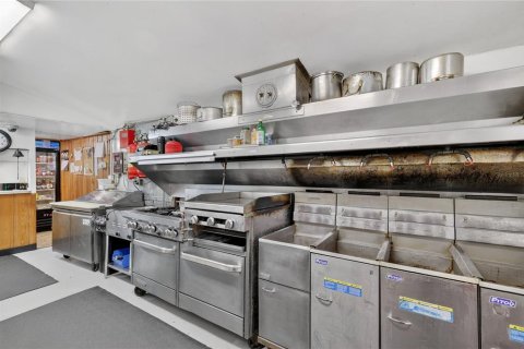 Immobilier commercial à vendre à Lake Panasoffkee, Floride: 331.48 m2 № 2167825 - photo 19