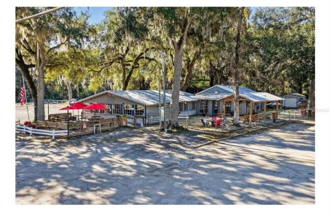 Immobilier commercial à Lake Panasoffkee, Floride 331.48 m2 № 2167825