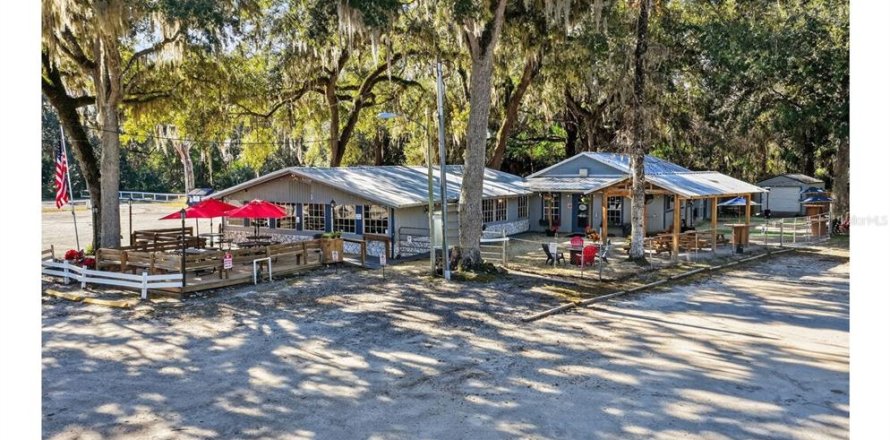 Immobilier commercial à Lake Panasoffkee, Floride 331.48 m2 № 2167825
