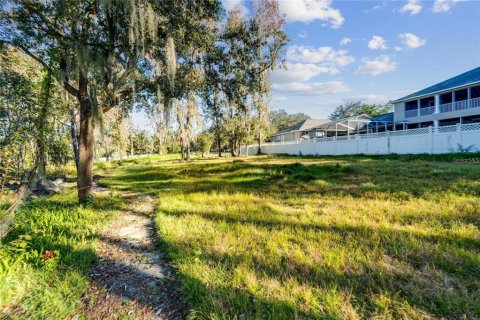 Terreno en venta en Riverview, Florida № 2096212 - foto 5