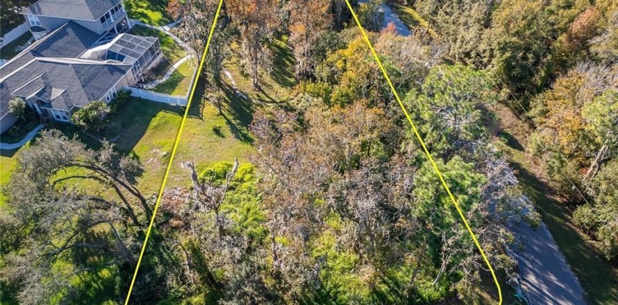 Terreno en Riverview, Florida № 2096212