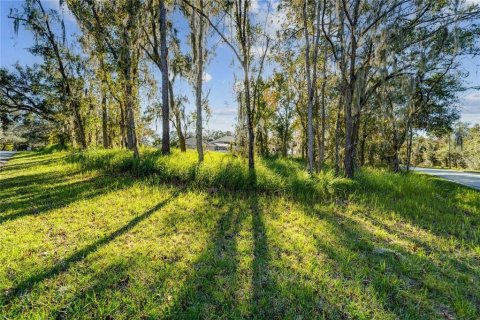 Terreno en venta en Riverview, Florida № 2096212 - foto 3