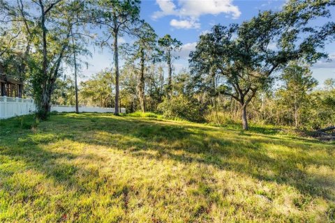 Terreno en venta en Riverview, Florida № 2096212 - foto 4