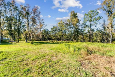 Terreno en venta en Riverview, Florida № 2096212 - foto 2