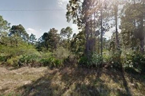 Land in Lehigh Acres, Florida № 2159756 - photo 2