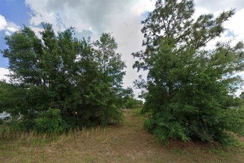 Land in Ocala, Florida № 2232291