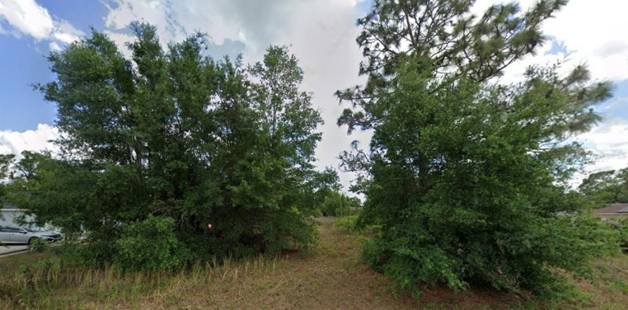 Terrain à Ocala, Floride № 2232291