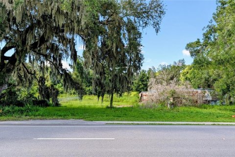 Terreno en Wildwood, Florida № 2229663