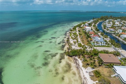 Villa ou maison à louer à Islamorada, Village of Islands, Floride: 5 chambres, 271.46 m2 № 2422005 - photo 7