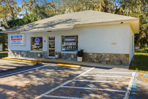 Commercial property in Lake Panasoffkee, Florida 125.42 sq.m. № 2212565 - photo 2