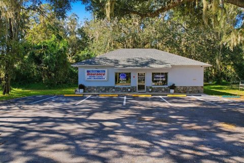 Commercial property in Lake Panasoffkee, Florida 125.42 sq.m. № 2212565 - photo 6