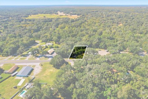 Commercial property in Lake Panasoffkee, Florida 125.42 sq.m. № 2212565 - photo 5