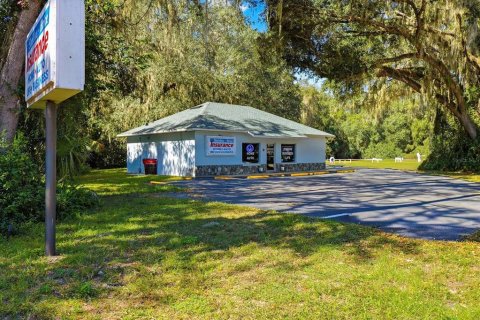Commercial property in Lake Panasoffkee, Florida 125.42 sq.m. № 2212565 - photo 10