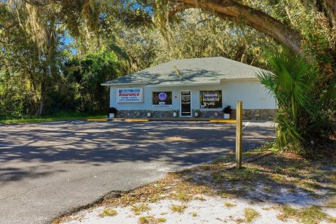 Commercial property in Lake Panasoffkee, Florida 125.42 sq.m. № 2212565 - photo 12