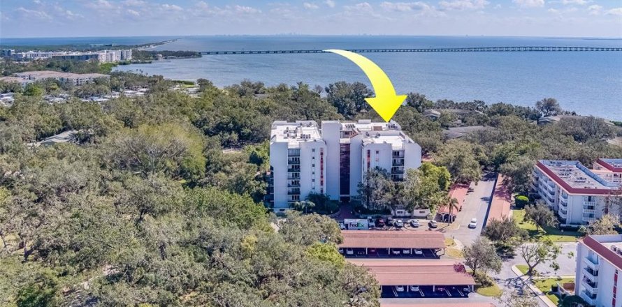 Condo in Clearwater, Florida, 3 bedrooms  № 1425281
