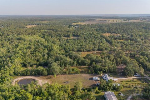 Land in Frostproof, Florida № 1822569 - photo 6
