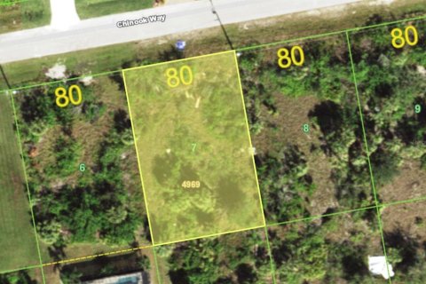Land in Port Charlotte, Florida № 2164563 - photo 3