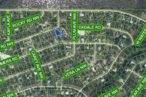 Land in Lake Placid, Florida № 2384296 - photo 6