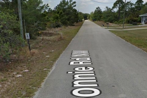 Land in Lake Placid, Florida № 2384296 - photo 4