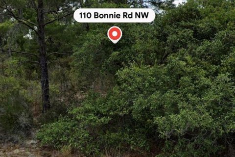 Land in Lake Placid, Florida № 2384296 - photo 3