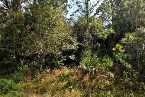 Terrain à North Port, Floride № 2158997