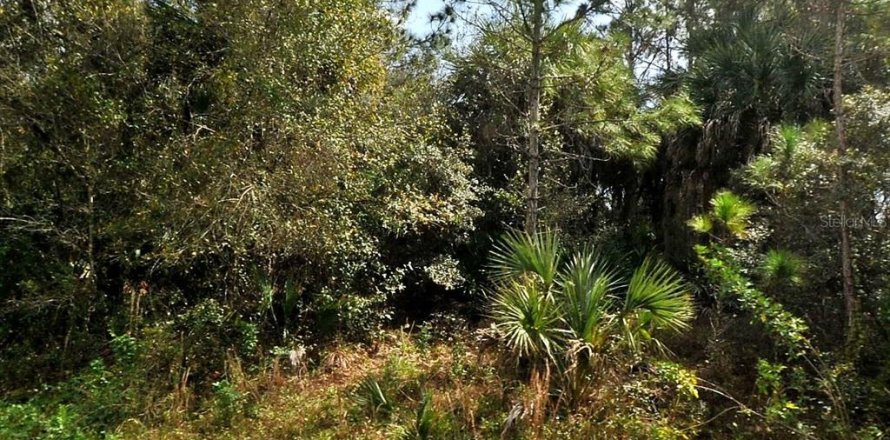 Terrain à North Port, Floride № 2158997