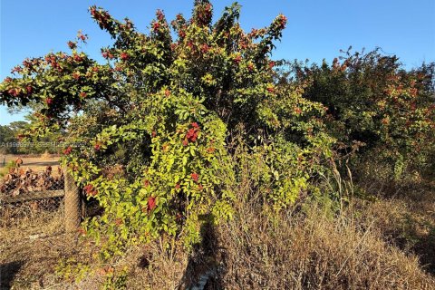 Land in Clewiston, Florida № 2031850 - photo 6