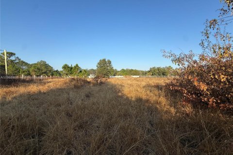 Land in Clewiston, Florida № 2031850 - photo 2