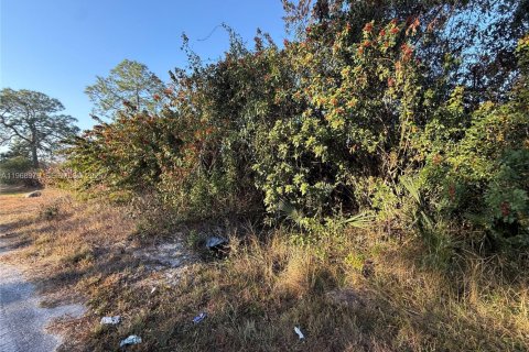 Land in Clewiston, Florida № 2031850 - photo 5