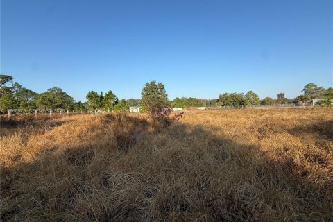 Land in Clewiston, Florida № 2031850 - photo 13