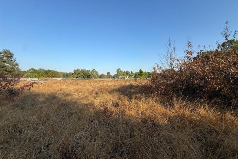 Land in Clewiston, Florida № 2031850 - photo 12