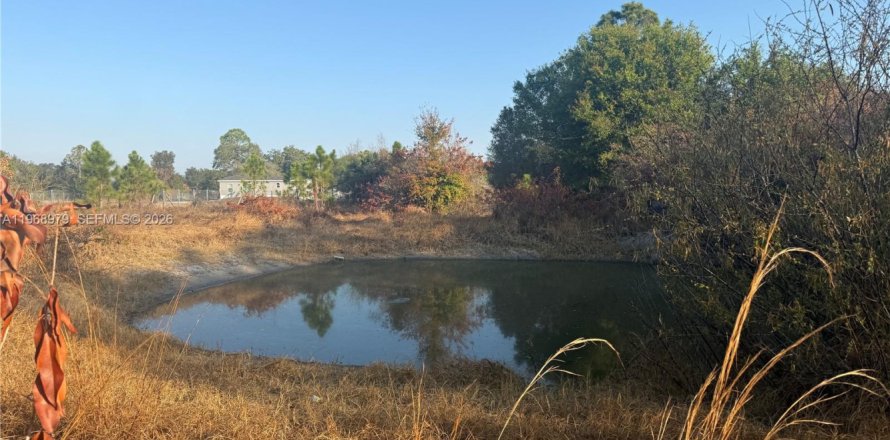 Land in Clewiston, Florida № 2031850