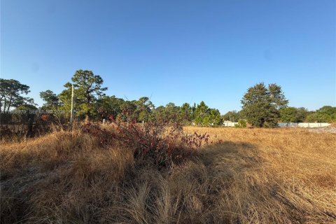 Land in Clewiston, Florida № 2031850 - photo 15