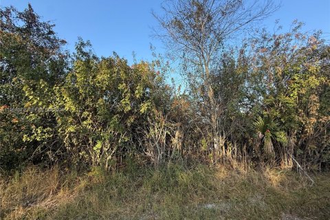 Land in Clewiston, Florida № 2031850 - photo 4