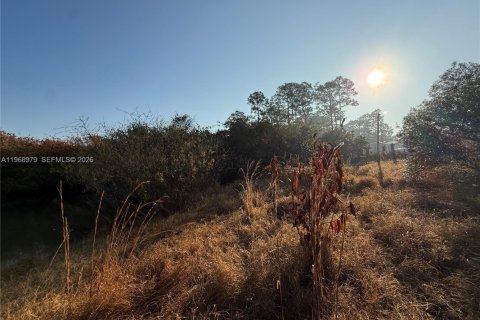 Land in Clewiston, Florida № 2031850 - photo 10