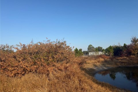 Land in Clewiston, Florida № 2031850 - photo 8