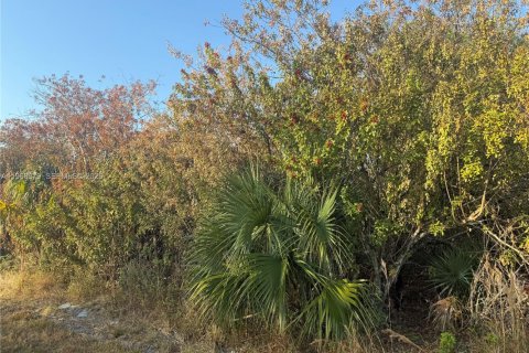 Land in Clewiston, Florida № 2031850 - photo 3