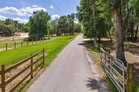 Land in Altoona, Florida № 2216269